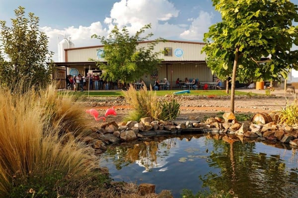 Sierra Blanca Brewing